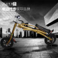 New design hot selling battery pack electric scooter